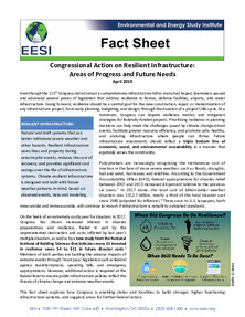 /files/IssueBrief_Resilient_Infrastructure.pdf